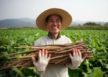 CJ푸드빌 계절밥상, 제2회 우리 농가 탐방단 모집