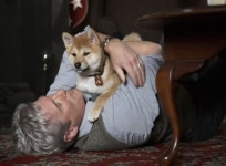 [황당뉴스] 학생과 강의 듣던 中 대학 유기견, 사체로 발견돼 논란