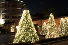 메이필드 호텔, 마이 스위트 하트