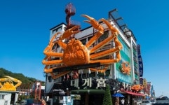 생생정보통 영덕대게 대박맛집 대게궁…할인은 어떻게 받지?