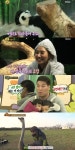 [티비톡] 애니멀즈 첫방, 신선함은 제대로…슈퍼맨 삼둥이 잡을까?