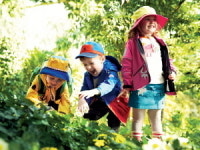 섀르반, 어린이 ‘숲 체험’ 교육 행사 진행