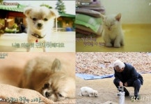 왜 꽃보다 할배 삼시세끼일까…나영석 예능 흥행 코드 4가지