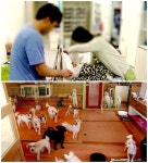 뉴스토리 예고, 반려의 두 얼굴…유기동물 실태·동물병원 진료비 논란 진실은?