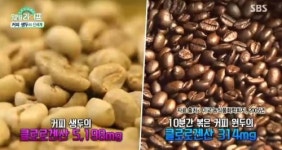 해피투데이 커피 생두, 다이어트에 효과...클로로겐산 주목