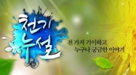 천기누설 통조림에 대한 오해와 진실...유통기한은 딱 7년에 수은 덩어리다?