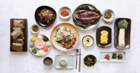 생방송 오늘저녁 자연 맛집...직접 재배한 연잎으로 만든 연잎밥 기력 충전