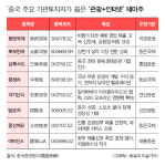 국경절로 중국 여행업계 들썩,  증시에선 테마주 각광