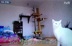 삼시세끼 어촌편2 기상악화로 갑자기 맞은 만재도의 마지막 밤 아쉽다