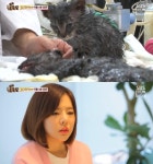 TV동물농장 써니, 철조망에 갇힌 고양이 임시보호 자처 불쌍해서 데려왔는데 내가 힐링받고 있다