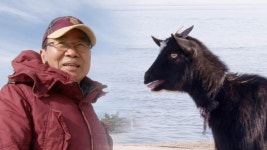 순간포착 세상에 이런 일이 1년 째 주인아저씨만 따라다니는 염소, 영화못지 않은 추격전 눈길