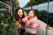 LIG넥스원, 신입사원 한사랑장애영아원서 봉사활동 전개