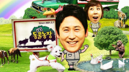 TV동물농장 수리부엉이의 대장정, 무사히 자연의 품으로 돌아갈 수 있을까?