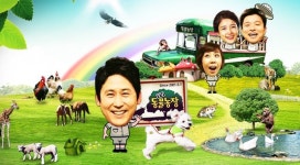 TV 동물농장 할머니 사랑 원하는 시골개vs서울개…정육점 날쌘도둑 족제비, 비계 훔쳐간 이유는?