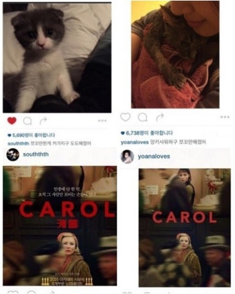 정려원·남태현 열애설 부인, 해프닝으로 끝난 열애설 원인은 럽스타그램 때문?…과거 SNS 재조명