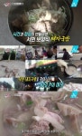 먹거리 X파일 착한 돼지국밥, 국산 돼지뼈·신선한 돼지고기 사용하는 맛집은 어디?