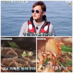 [영상] 삼시세끼 어촌편3 이서진, 상어도 잡아봤다…농어회·농어구이·농어해물탕 에시피 총출동