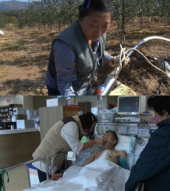 '동행' 싱글맘 김태희 씨, 이혼 뒤 두 아이·부모님 모시고 '구슬땀'…