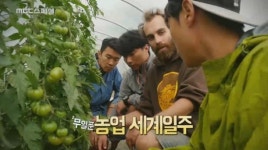 [영상] MBC 스페셜 세 청년의 무일푼 농업 세계일주, 호주와 이탈리아·벨기에·프랑스 농업서 미래농장 설계