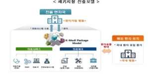 한국의료, 패키지로 수출 확대한다 
