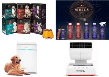 홍삼사료, 수제간식 먹는 견공들…반려제품 고급화 바람