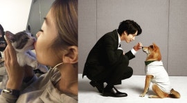 [in스타] 명단공개 씨스타 효린·김희철, 반려묘·견과 행복한 일상 공개 우리 집 동물농장 될 듯