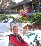 인간극장 75살 김채옥 할머니의 지리산 사계…18살 팔랑마을로 시집와 4년만에 남편 잃어
