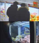 궁금한 이야기Y 대전 인형뽑기 싹쓸이 전말 공개…경산 BMW 2시간 만에 200개 뽑기vs사기범이냐, 진실공방