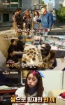 한끼줍쇼 쌍문동 찾은 걸스데이 혜리x민아 효과…자체 최고 시청률 갱신 5.640%