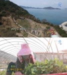 다큐멘터리 3일 여수 금오도 비렁길, 제철 맞은 방풍나물까지…완연한 봄을 걷다