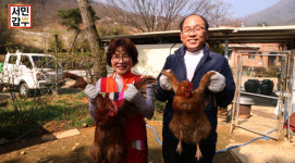 서민갑부 산닭구이로 연매출 6억·30억대 갑부된 김영래 씨…직접 키운 닭으로 육회 서비스까지 일품