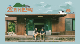 효리네 민박 이효리♥이상순 부부에 아이유까지…새로운 힐링 프로 탄생하나