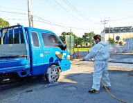 파주 양계농장 AI H5N8형 확진…토종닭 전통시장 2곳 판매