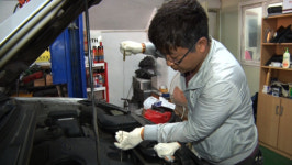 VJ특공대 제철맞은 숭어·은어·장어잡이…취직 대신 귀농한 목장 처녀·제주 해남