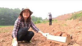 다큐멘터리 3일 홍동 사람들이 사는 법…풀무농업기술학교 유기농법 실천
