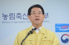 [살충제 계란] 부적합 농가 84곳 적발…짝퉁 친환경 35곳(상보)
