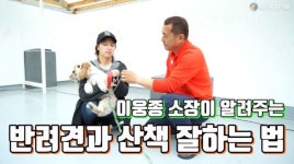 [친구의 재발견②] “반려견은 내 친구!” 개박사 이웅종이 알려주는 산책비법