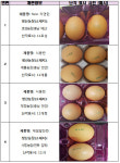 살충제 계란 4곳 추가 검출…난각코드 11호성·11계룡·11재정·12JJE