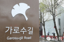 [뉴스핌 포토] 임대료 치솟는 가로수길의 비명..임차인 구합니다