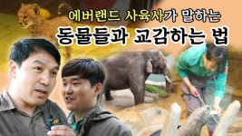 사육사가 말하는 동물들과 교감하는 법 / 직업탐구생활 Ep.16