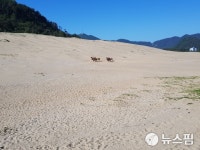 [르포] 10억년 전 지층 살아있는 백령·대청 지질공원 가보니