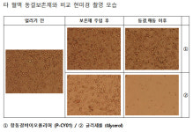 남극 해양미생물로 혈액 장기보관 성공…냉동인간 기술 시대 오나
