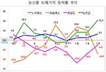 소비자물가 안정? 폭염 속 밥상물가 급등…정부 늑장대응