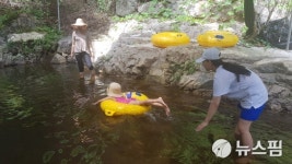 시원한 계곡·숲…성주 포천계곡