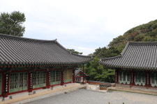 [영상] 미륵·제화갈라·관음·지장보살이 모셔있는 대웅전을 품은 용문사