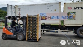 하동산 햇배·햇밤 올 들어 첫 수출길