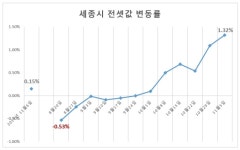 세종시 전셋값 킹..한달새 5천만원 올라