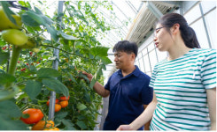 정병두 로즈밸리 대표 스마트팜으로 생산량 70% 늘어