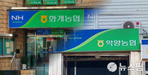 하동 화개농협악양농협 합병 의결