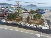 창원시, 그린생활문화 숲조성 적극 추진